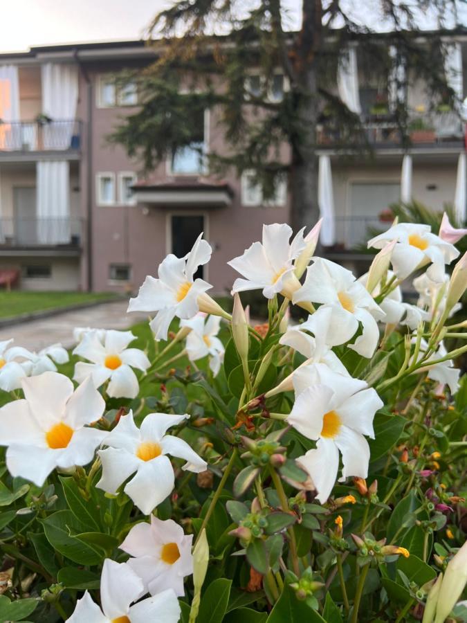 Otta House Garda Lake Кастелнуово дел Гарда Екстериор снимка